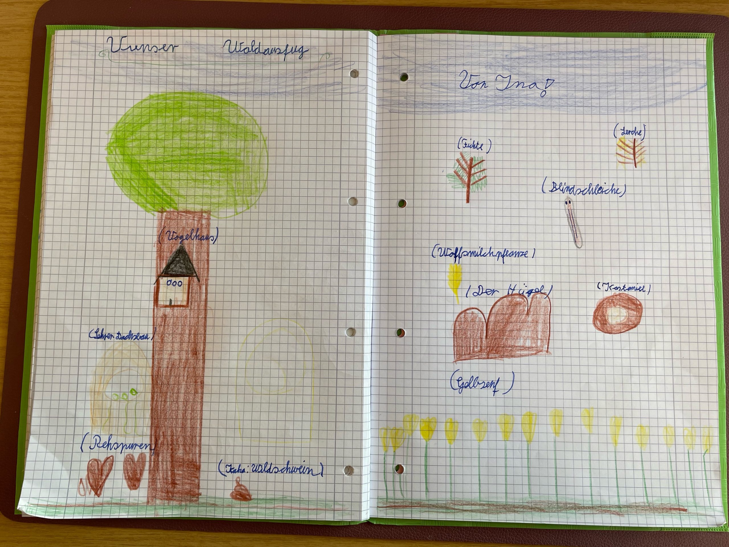 image3 Kopie